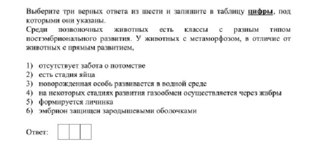 Кракен даркнет официальный сайт