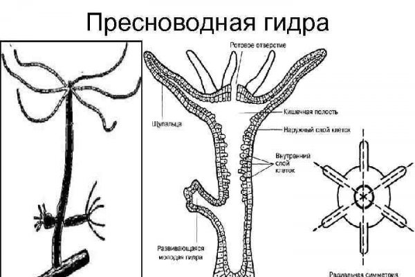 Кракен это наркозависимость