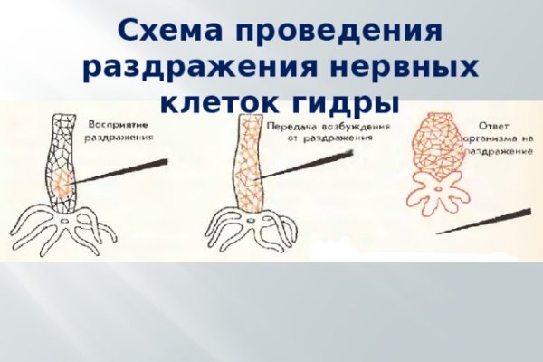 Kraken ссылка для тору